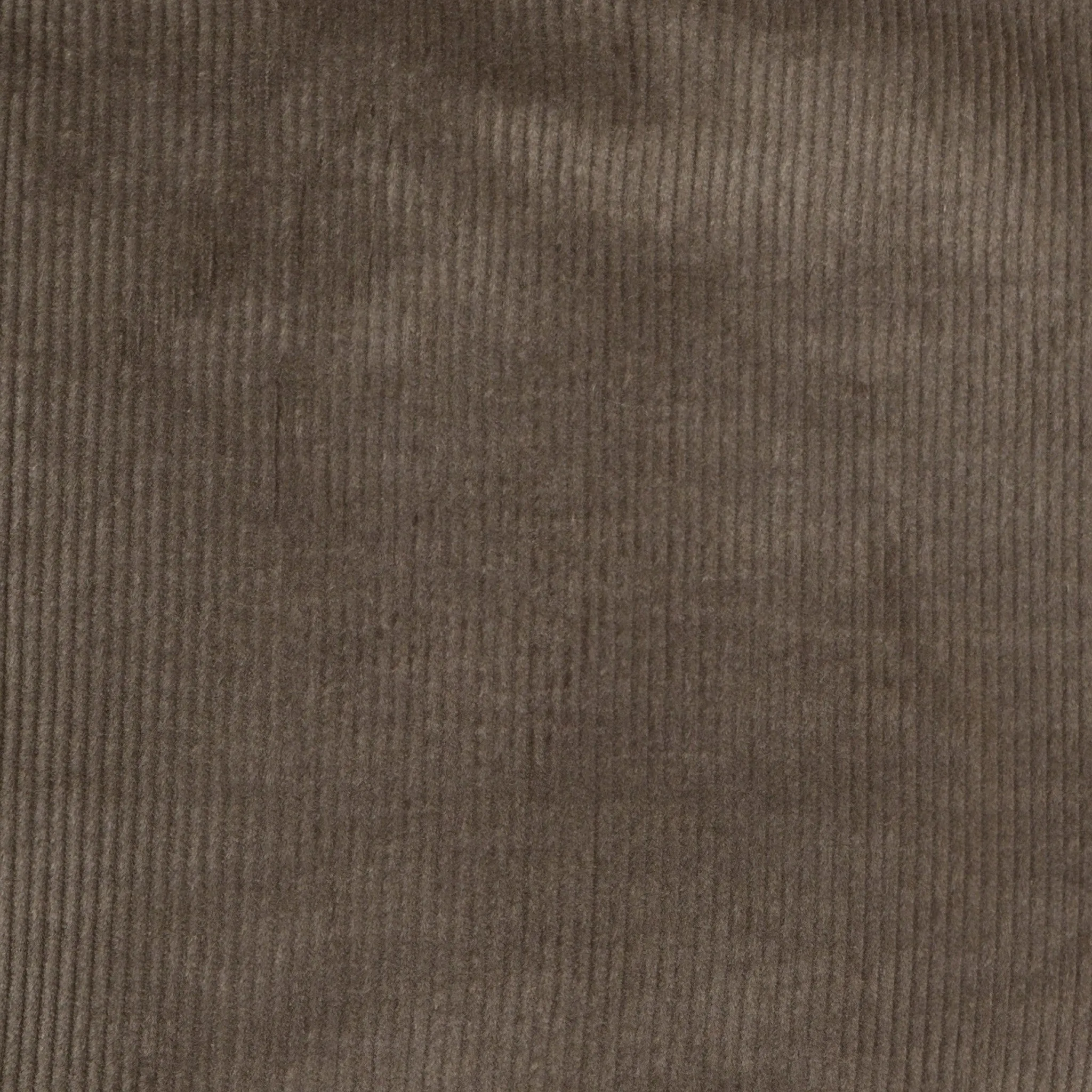 Sidoni Chino Pants in Stretch Corduroy
